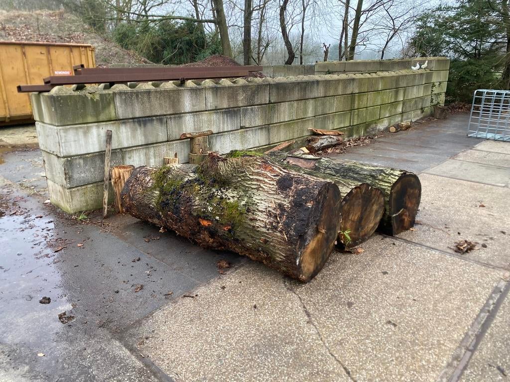 Dikke eikenstammen | 2.5 meter lang en tot 90 cm dik, Tuin en Terras, Haardhout, Minder dan 3 m³, Ophalen, Eikenhout, Stammen