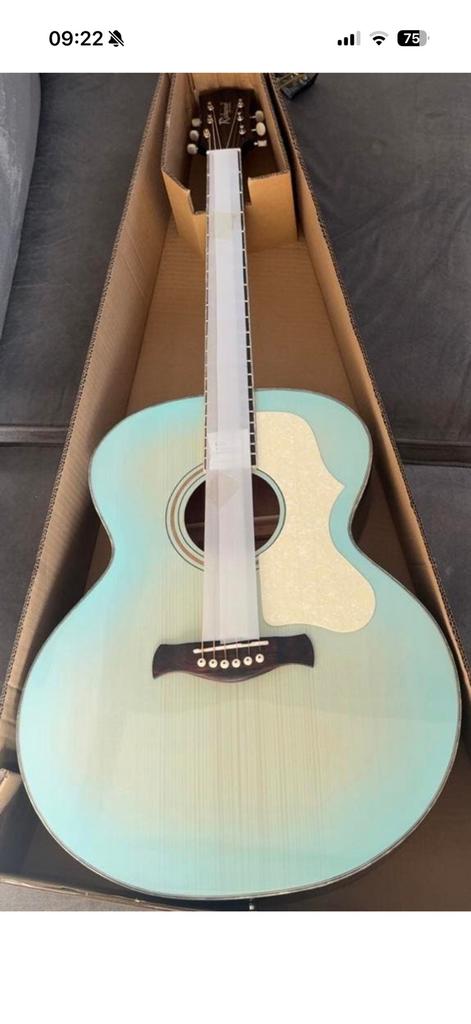 NIEUW RICHWOOD GITAAR!!! nieuwprijs €249,00, Ophalen of Verzenden, Nieuw