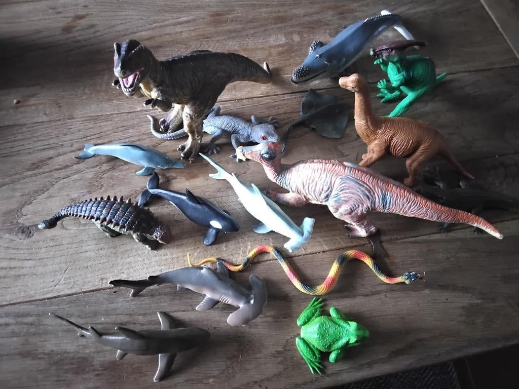 Reptielen en vissen, Ophalen of Verzenden