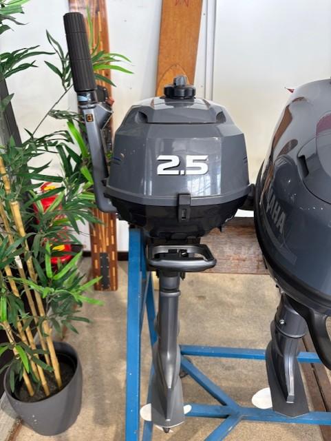Yamaha F2.5 AMHL, Nieuw