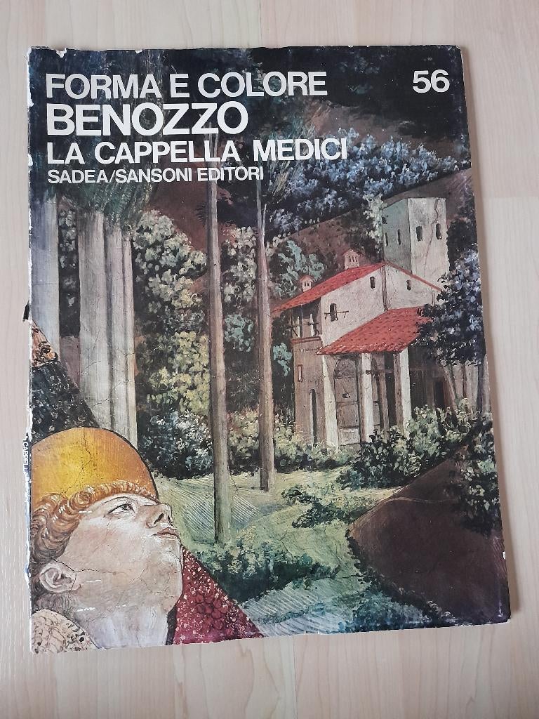 FORMA E COLORE BENOZZO LA CAPPELLA MEDICI di Alb. Busignani, Ophalen of Verzenden, Gelezen