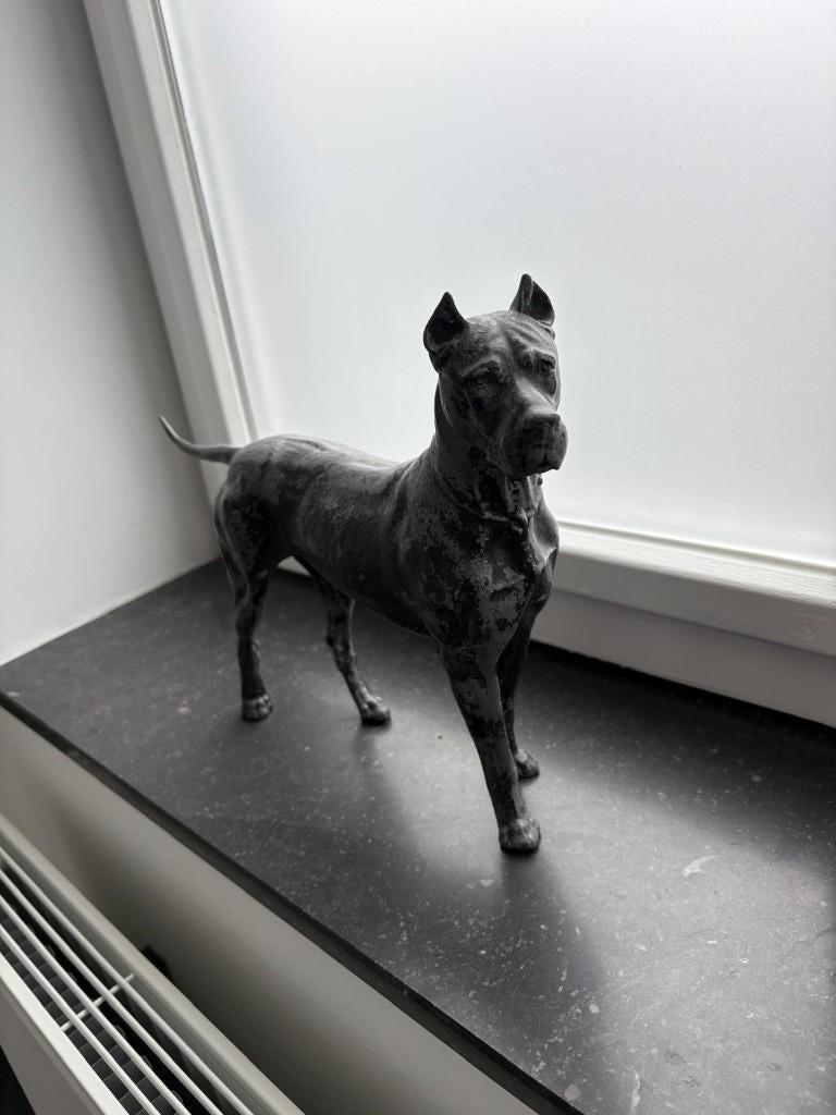 Hondenbeeld (Deense Dog?) - brons/ijzerlegering, Ophalen