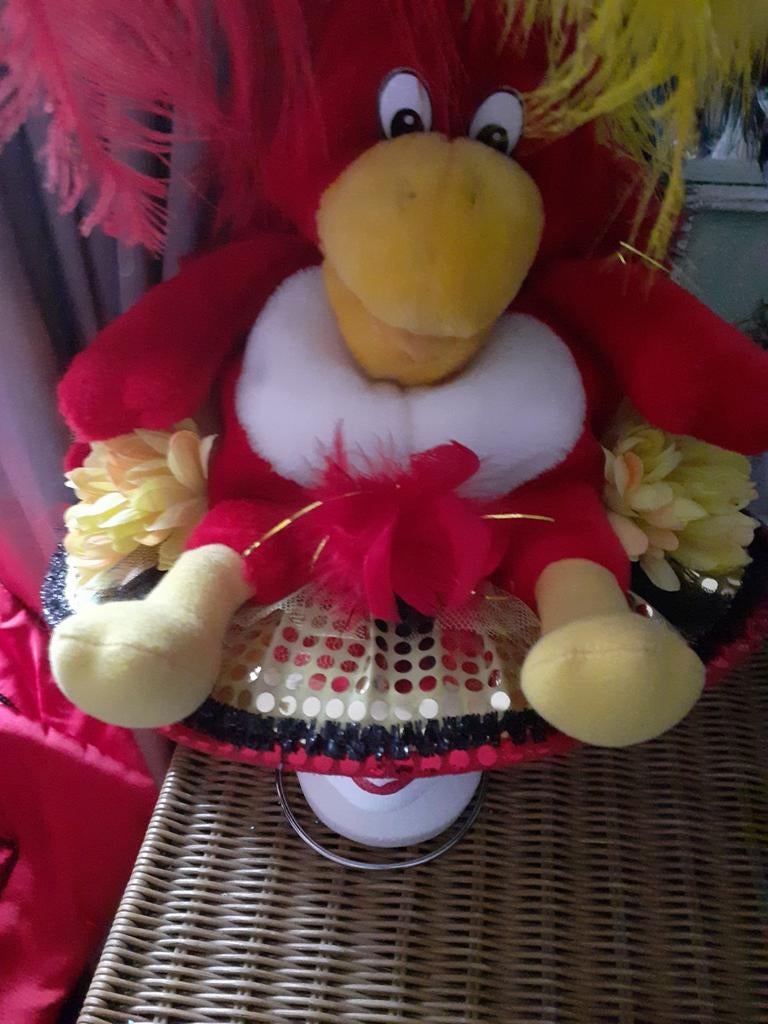 Carnavals hoeden in prima staat, Ophalen of Verzenden, Zo goed als nieuw, Maat 46/48 (XL) of groter, Carnaval