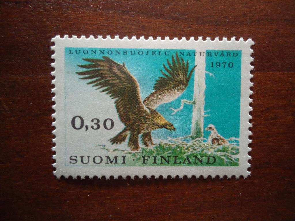 Vogel arend Finland 1970, mi. 667 postfris/ongebruikt, Ophalen of Verzenden, Postfris, Dier of Natuur