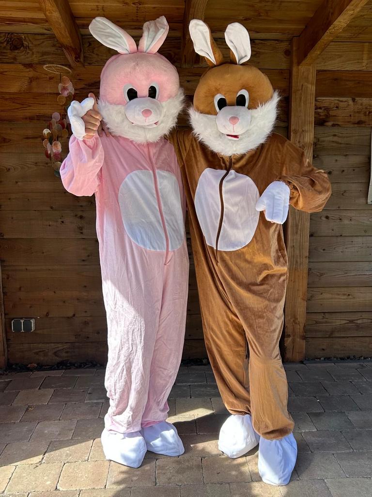 Paashaaspak te huur - Bruin of Roze, Ophalen of Verzenden, Zo goed als nieuw