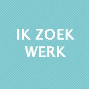 Chauffeur, Vacatures, Overige vormen, Vanaf 1 jaar, MBO, Geschikt als bijbaan