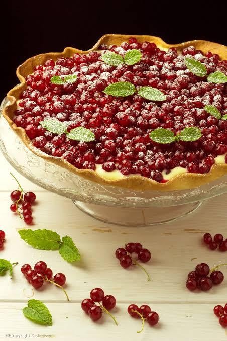 Aalbes  Rood ...🌿🐦‍⬛...🌟🍰🎂, Tuin en Terras, Ophalen, Fruitplanten, Volle zon