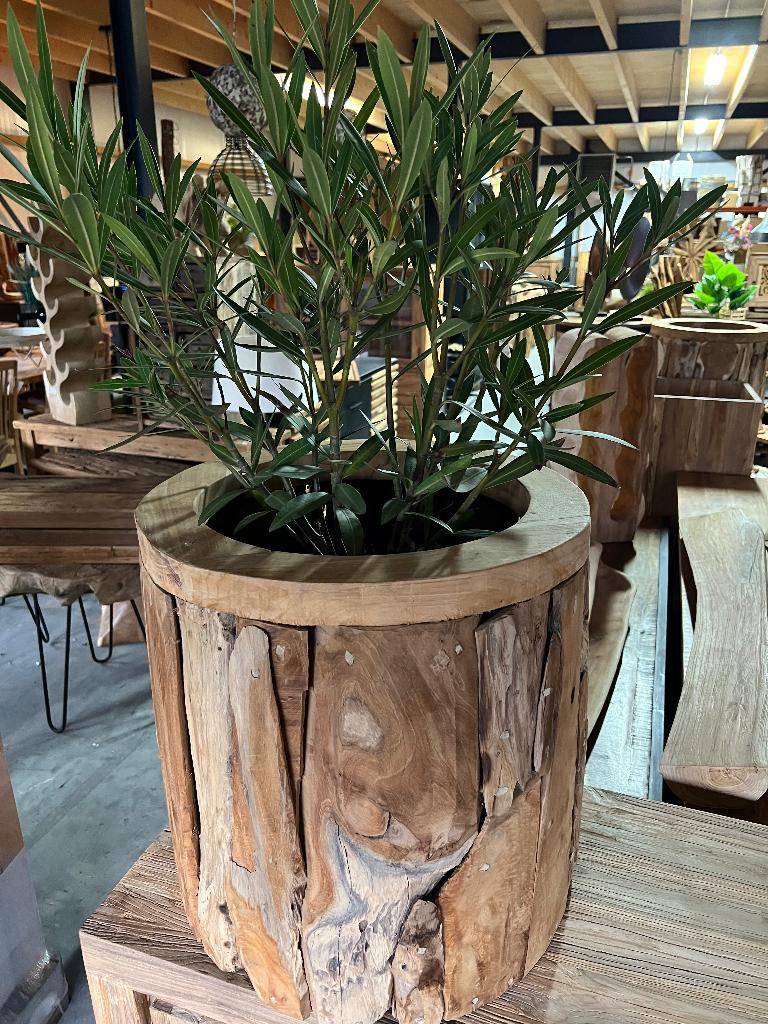 Plantenbak wortelhout, Overige materialen, 40 cm of meer, Rond, Nieuw