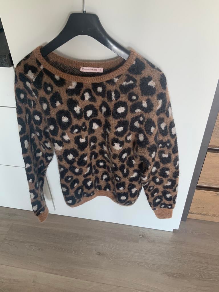 Mooie trui mt S van STUDIO ANNELOES heel klein prijsje, Ophalen of Verzenden, Gedragen, Maat 38/40 (M), Overige kleuren