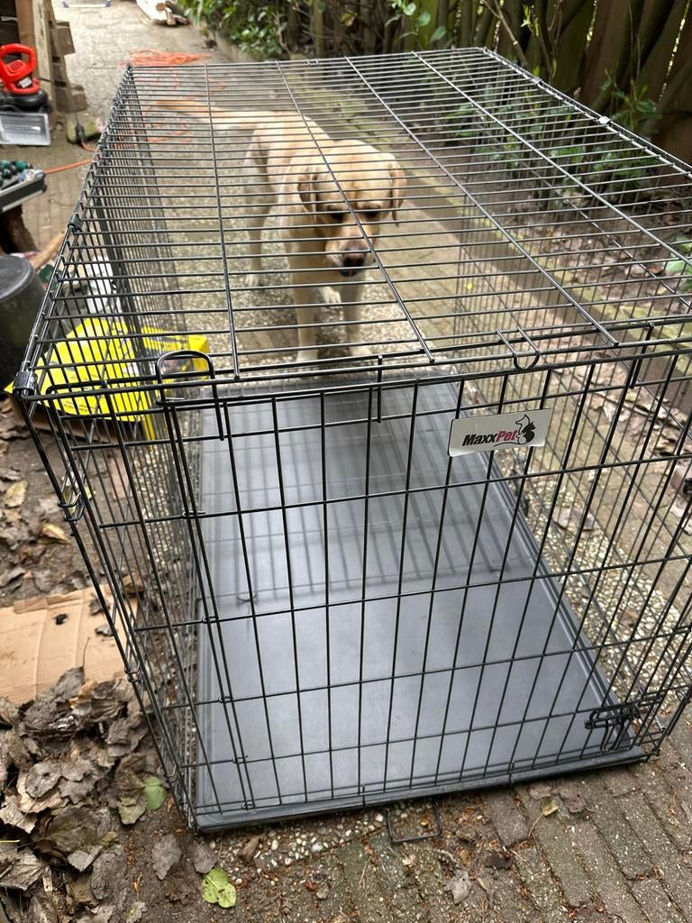 inklapbare grote hondenbench, Ophalen, Gebruikt