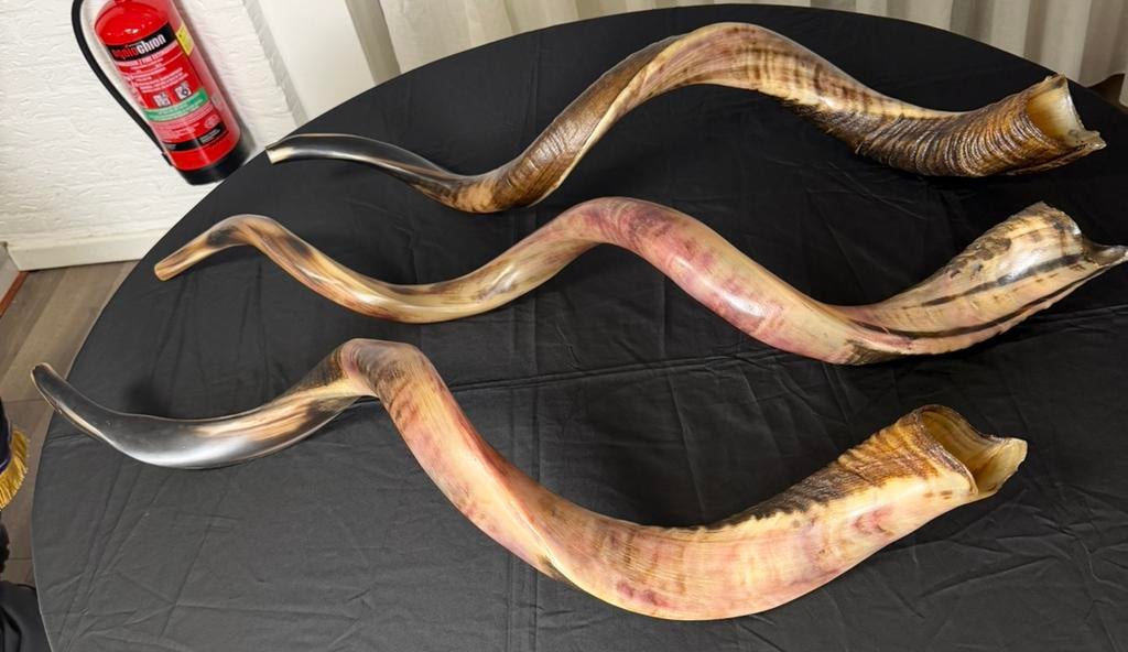 KUDU SHOFAR, Ophalen of Verzenden