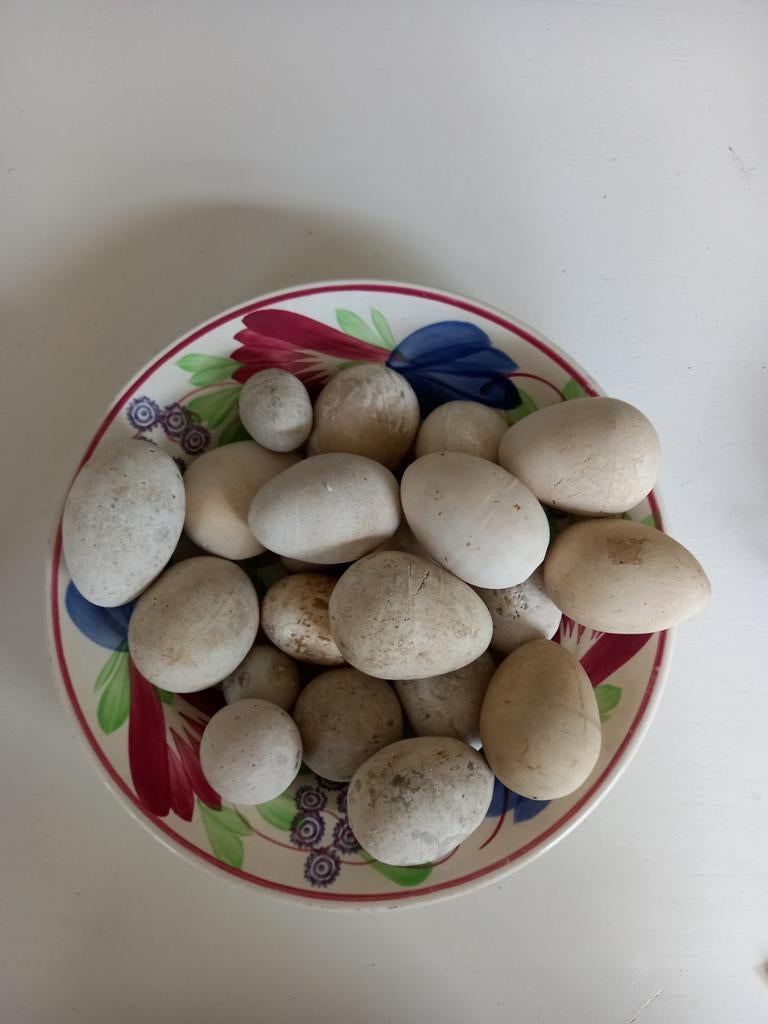 Collectie oude kunst eieren, Ophalen of Verzenden