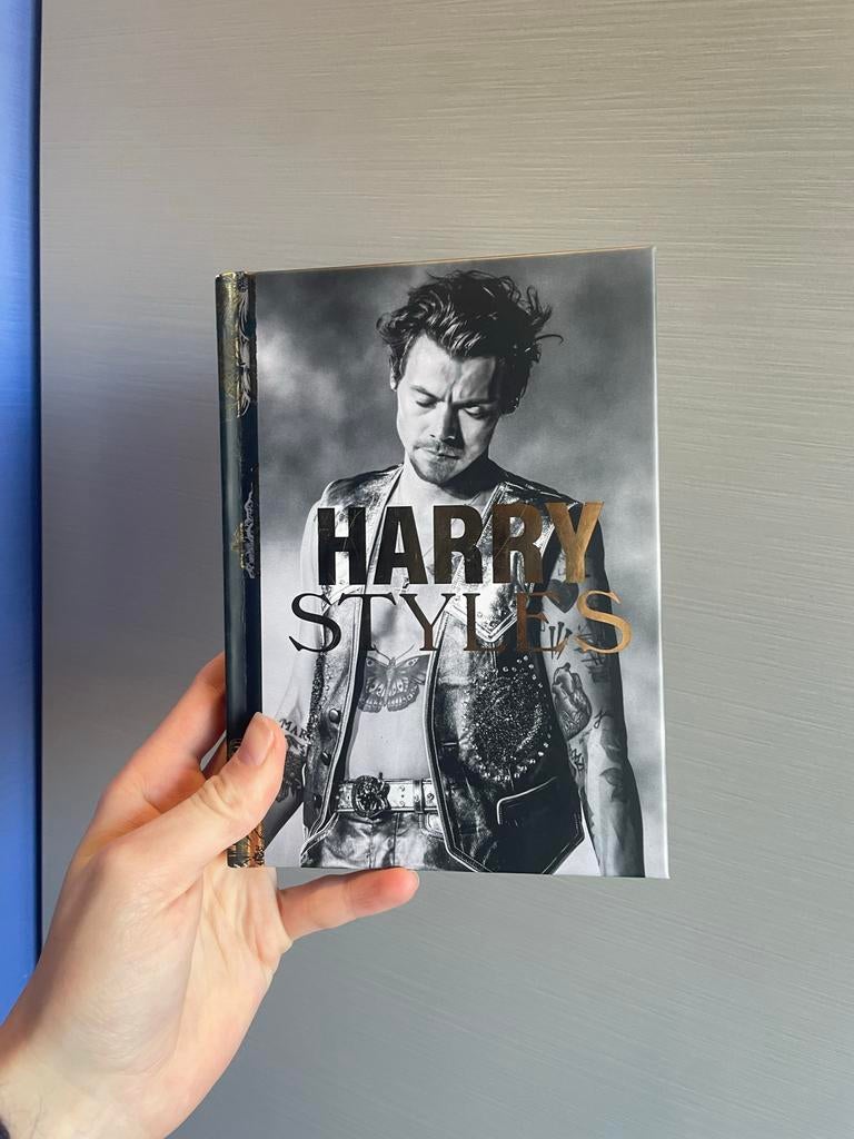 Boek over Harry Styles, biografie in het Engels, Ophalen of Verzenden, Nieuw, Film, Tv en Media