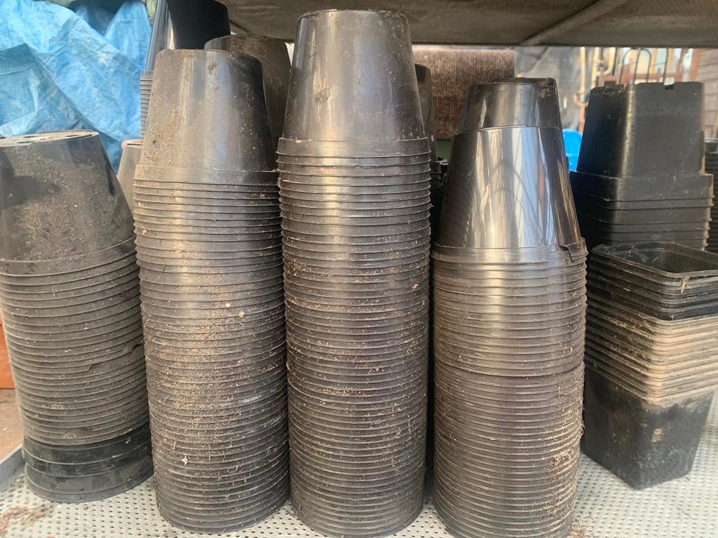 Kweekbakjes, zaaitrays, bakjes moestuin, potjes, Tuin en Terras, Kweekspullen, Ophalen of Verzenden, Gebruikt, Kweekbak