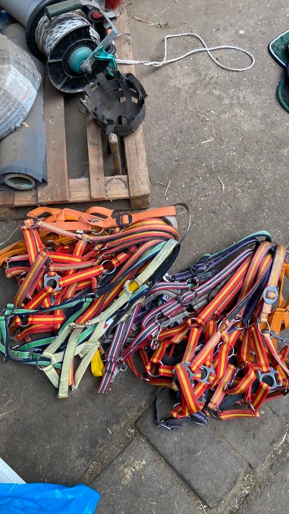 Partij halsters maat pony en shetlander, Ophalen of Verzenden, Zo goed als nieuw, Overige soorten