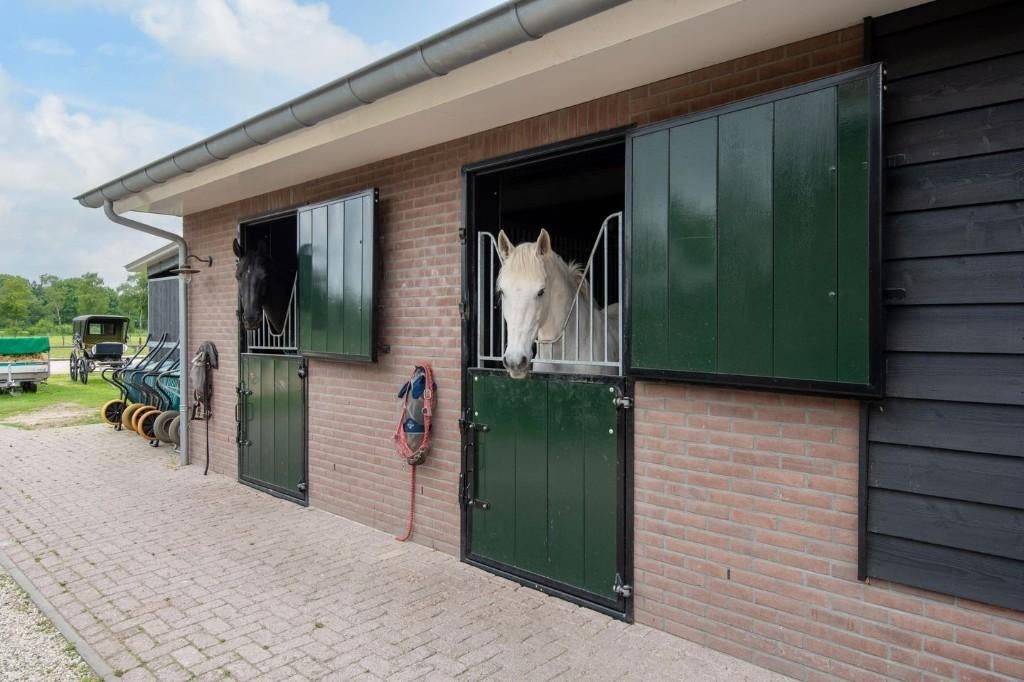 Pensionstalling, Weidegang, 2 of 3 paarden of pony's