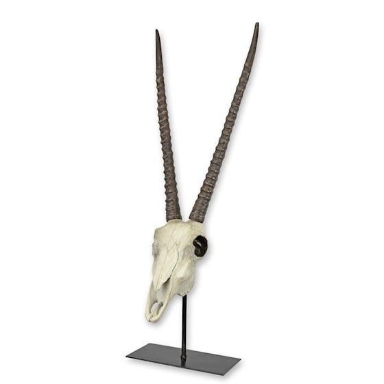 Sabelantilope schedel op standaard - Taxidermie, Ophalen of Verzenden