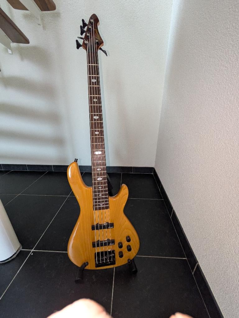 Aria Pro II Advant Series basgitaar 5-snaar, Ophalen, Gebruikt, Basgitaar, Minder dan 50 watt