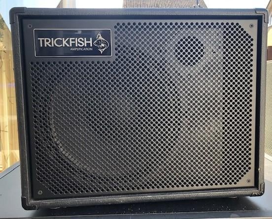 Bas cabinet, Ophalen, Gebruikt, Basgitaar, 100 watt of meer