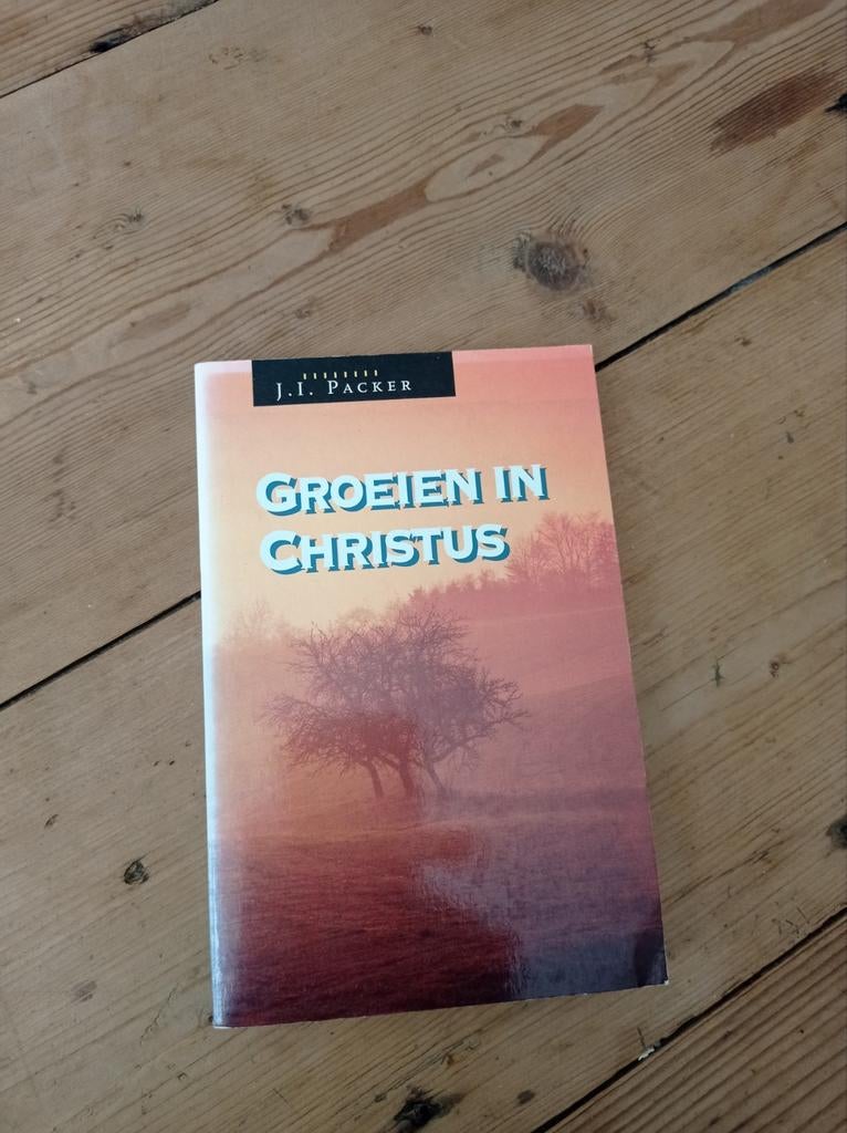 J.I. Packer - Groeien in Christus, Ophalen of Verzenden, Gelezen, J.I. Packer