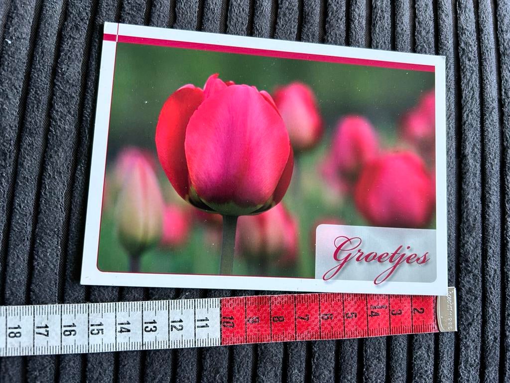 1633. Kaart Tulpen groetjes, Ophalen of Verzenden, Ongelopen