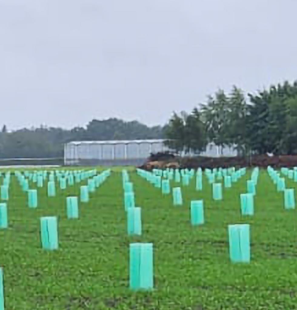 Plantenbeschermer boombeschermer planthoes boomhoes, Ophalen of Verzenden