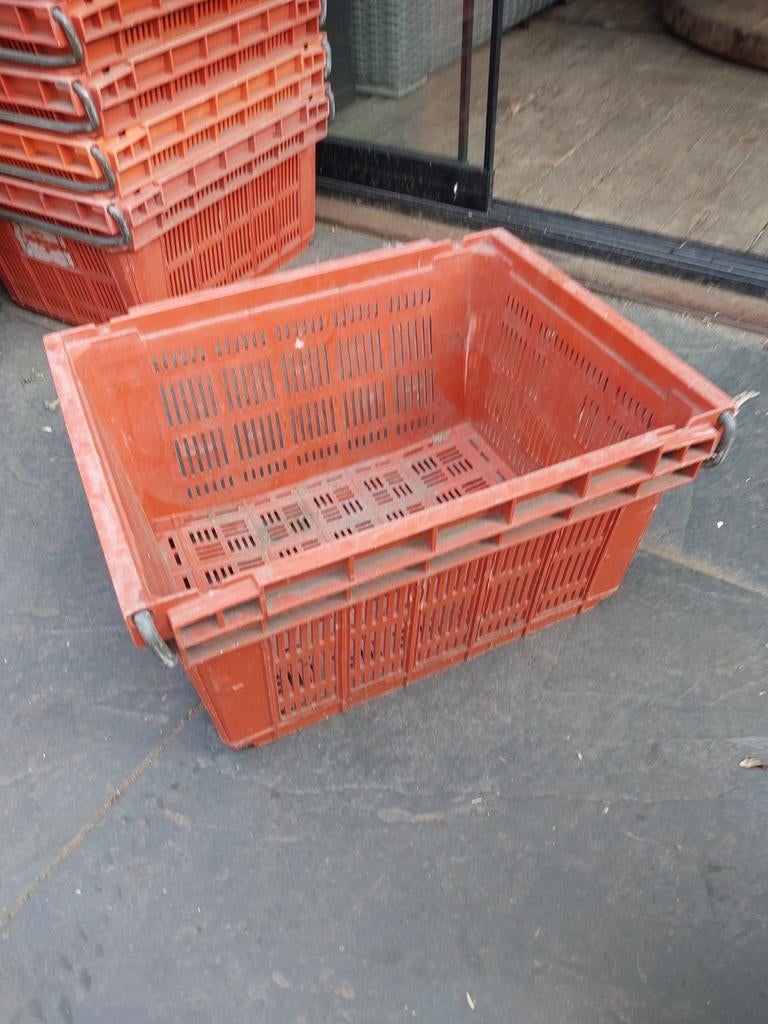 Stevige kunststof krat voor opslag en transport bollenkrat, Gebruikt, 40 tot 60 cm, 50 tot 75 cm, Ophalen of Verzenden