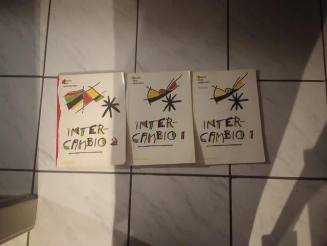 3 boeken spaans voor beginners en gevorderden, Ophalen of Verzenden, Alpha