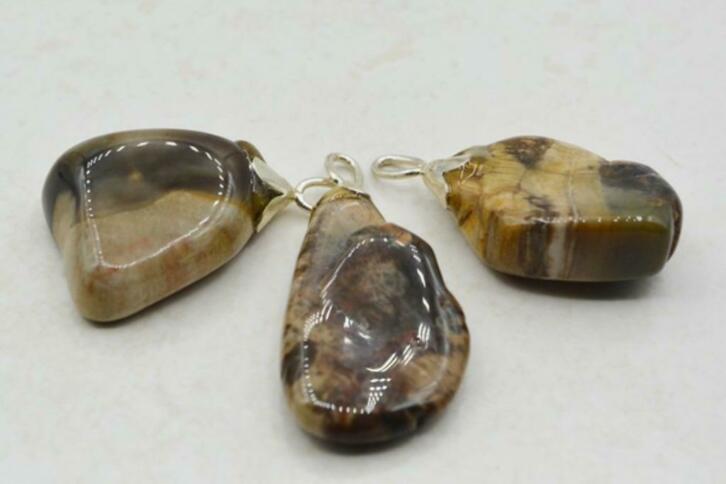 Versteend hou hangers (01), Ophalen of Verzenden, Mineraal