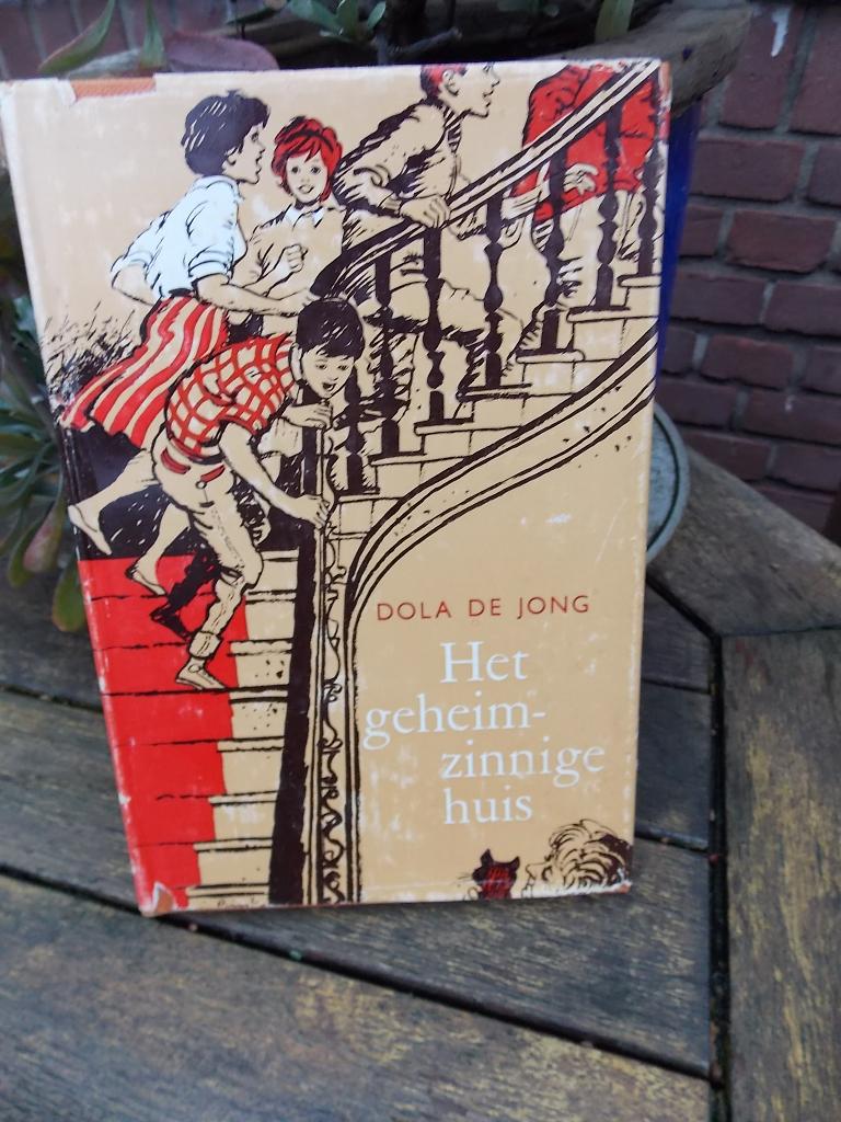Het geheimzinnige huis - dola de jong - boek, Ophalen of Verzenden, Gelezen
