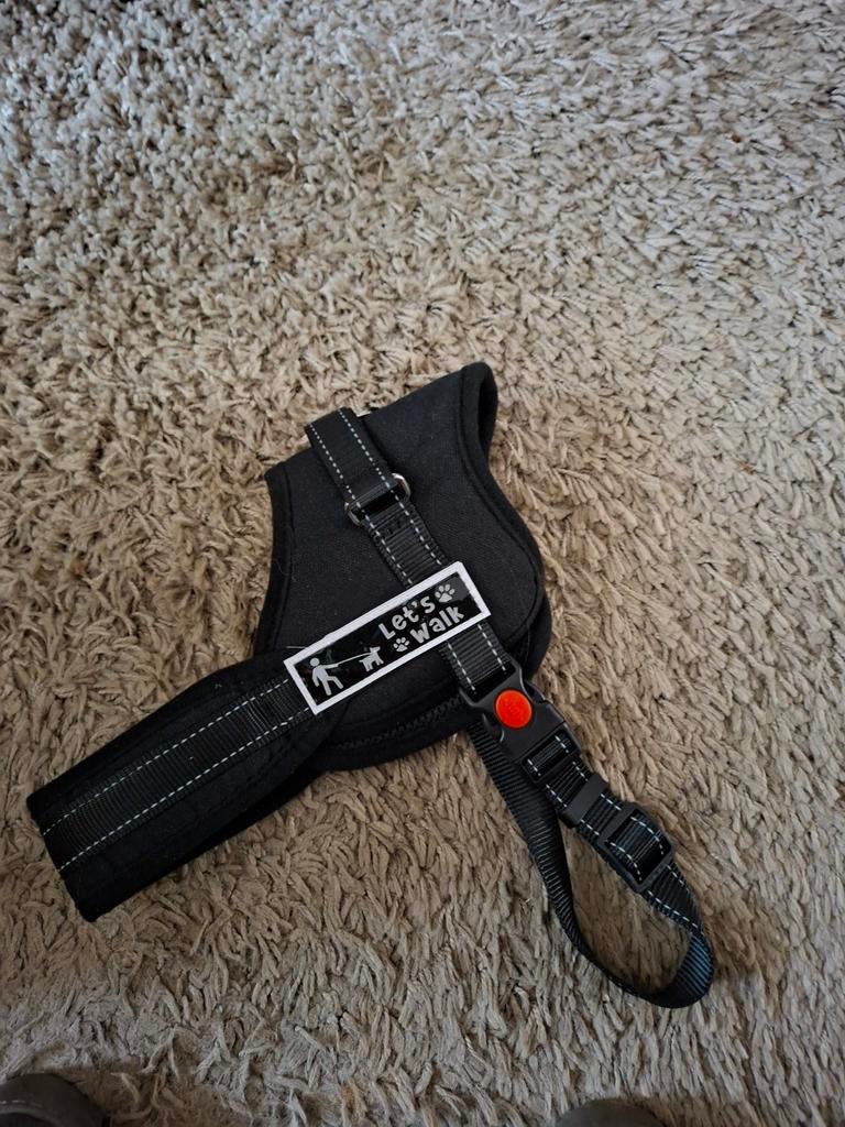 Halsband voor  hond maat S, Ophalen, Nieuw