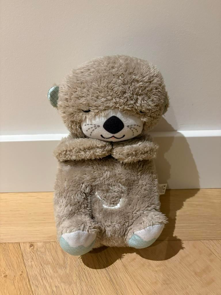 Fisher-Price bedtijd otter, Kinderen en Baby's, Speelgoed | Fisher-Price, Ophalen of Verzenden, Zo goed als nieuw, Overige typen