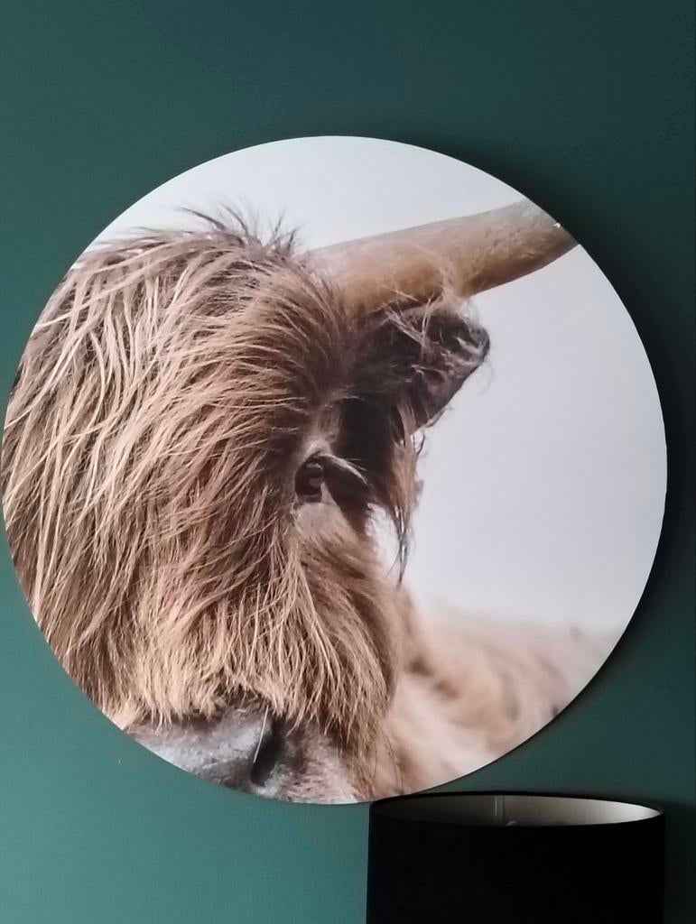 Muurcirkel, Ophalen, Nieuw