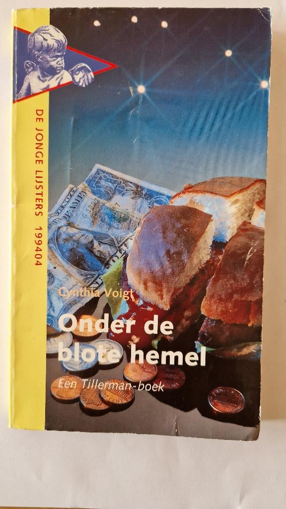 onder de blote hemel - Cynthia Voigt, Boeken, Ophalen of Verzenden, Gelezen, Cynthia Voigt