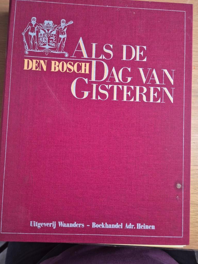 Als de dag van gisteren Den Bosch, Ophalen of Verzenden, Zo goed als nieuw