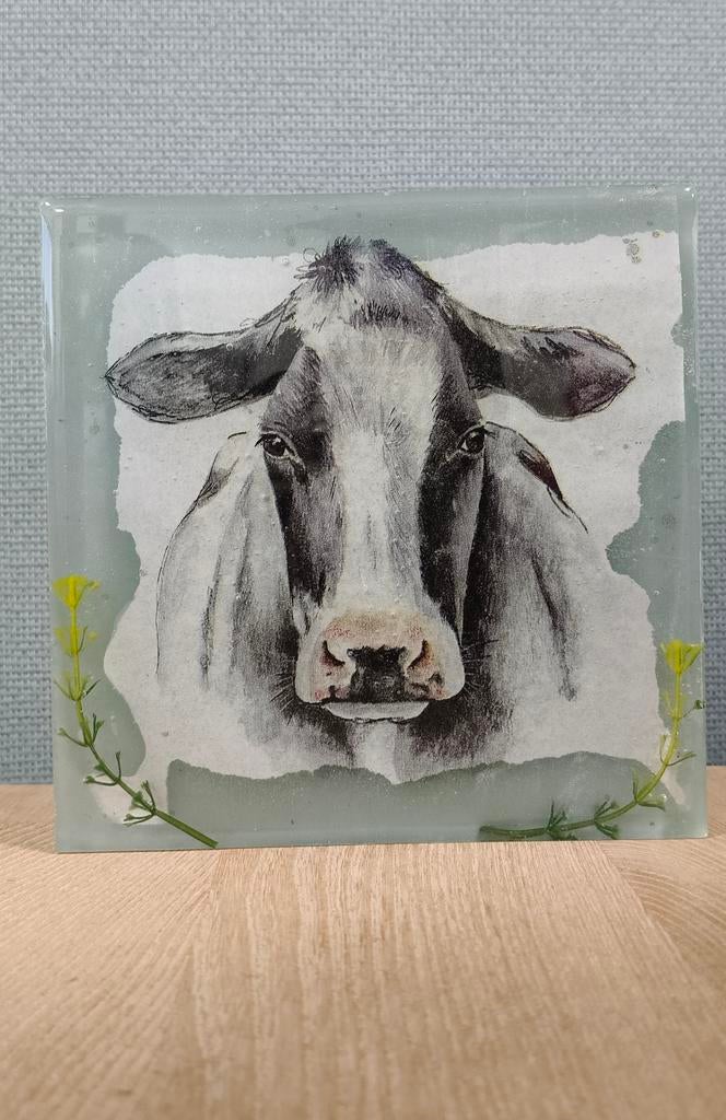 Epoxy Handgemaakte  Koe met Verlichting, Ophalen of Verzenden, Nieuw