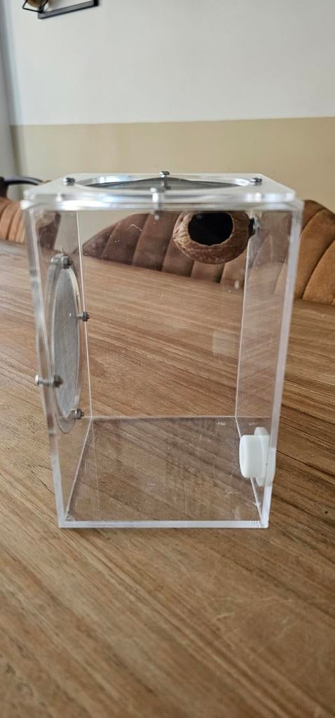 Springspin verblijf 10x10x15, Ophalen of Verzenden