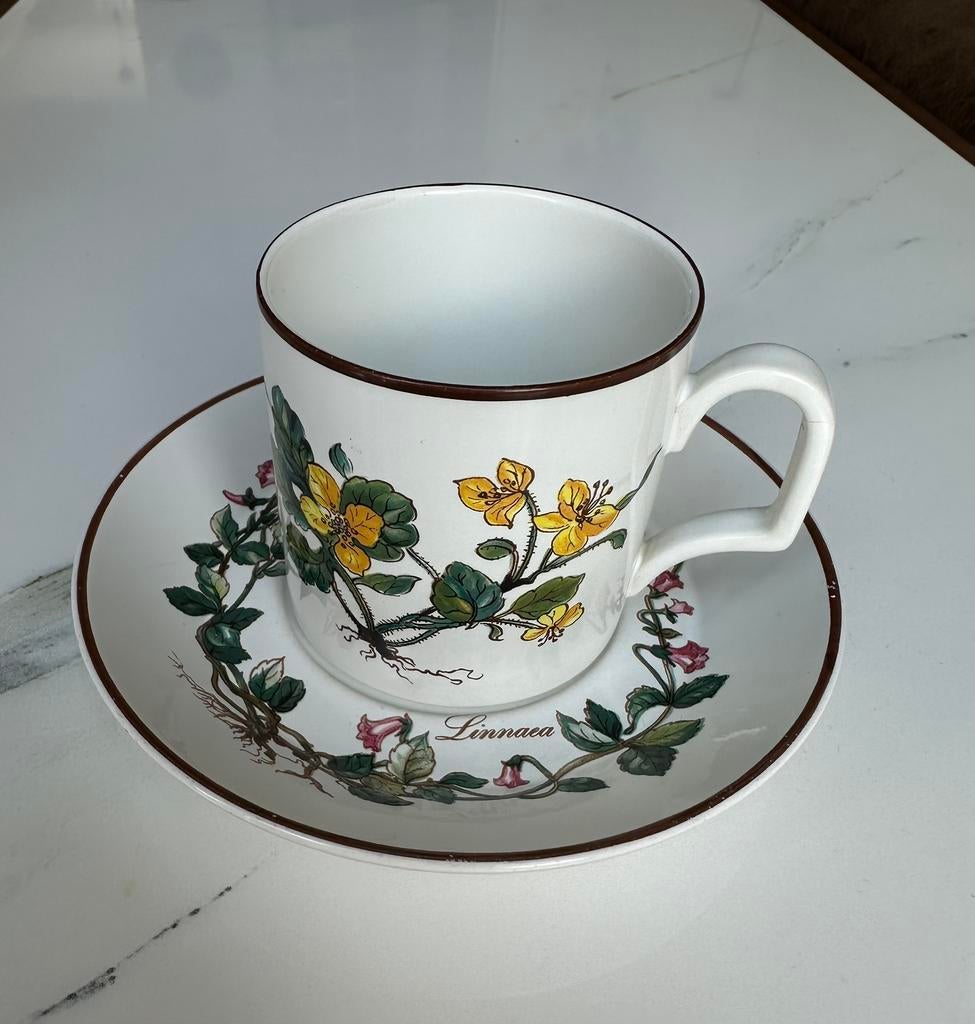Villeroy & Boch Linnaea kop en schotel –  botanisch design, Ophalen of Verzenden