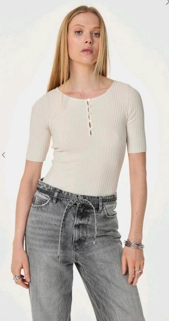 Fabienne Chapot Alida pullover/ trui maat M *nieuw *, Fabienne Chapot, Ophalen of Verzenden, Nieuw, Maat 38/40 (M)