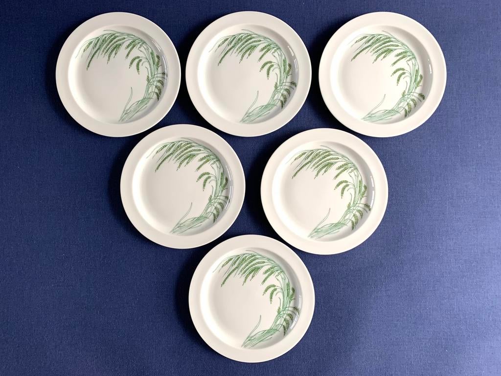 Rosenthal taart borden 15,3 cm, Nieuw, Ophalen of Verzenden, Bord(en), Overige stijlen