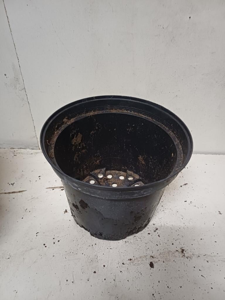 Kweekpotten plantenpotten bloempotten 5 liter, Tuin en Terras, Bloempotten, Kunststof, Gebruikt, Rond, Ophalen of Verzenden