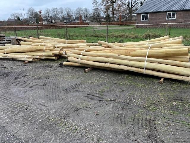 Robinia spintvrij geschuurd B-keus, Tuin en Terras, Palen, Balken en Planken, Nieuw, Palen, 250 cm of meer, Ophalen