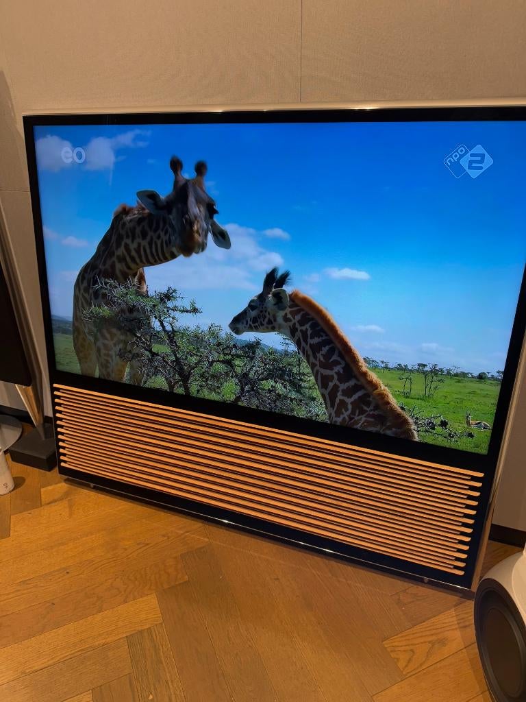 Bang & Olufsen BeoVision 14 55 incl houten front