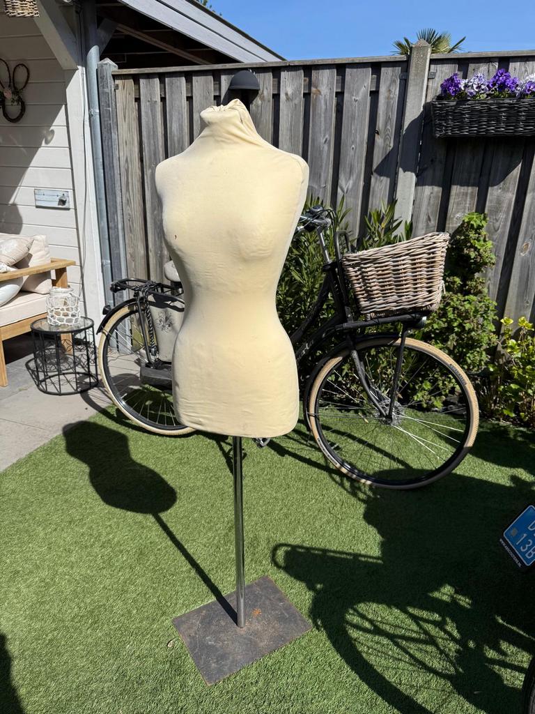 Paspop torso en buste, Ophalen, Zo goed als nieuw, Paspop