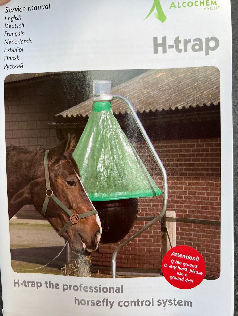 Dazen/ vliegenvanger, Dieren en Toebehoren, Weidegang, 2 of 3 paarden of pony's