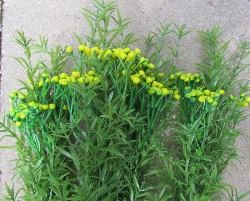 LANGE TAKKEN MET BESJES, Ophalen of Verzenden, Nieuw