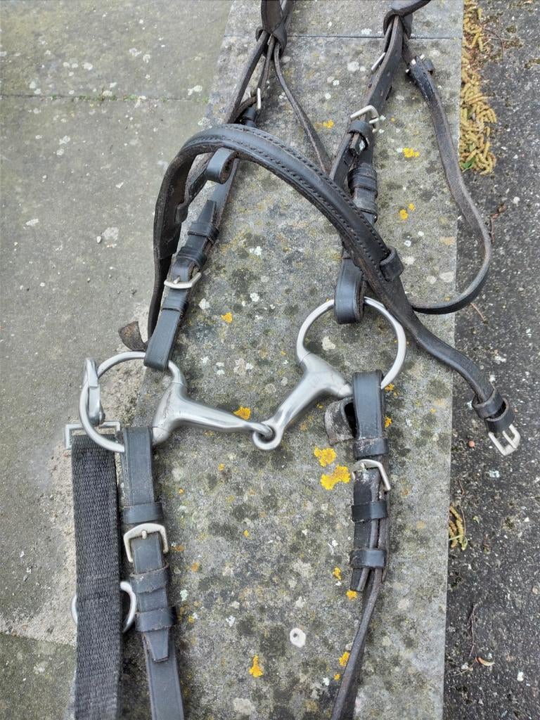 Hoofdstel met teugels leer voor pony, Dieren en Toebehoren, Ophalen of Verzenden