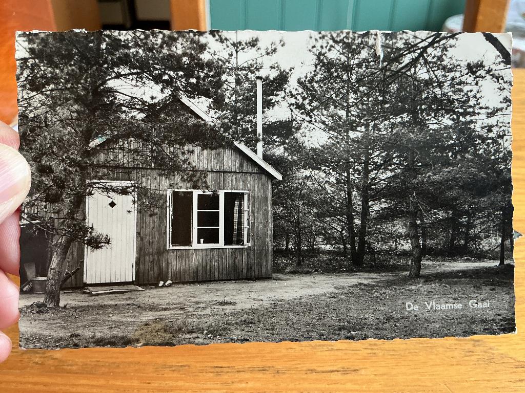 Ede de Vlaamse gaai, Verzenden, 1960 tot 1980, Gelopen, Gelderland