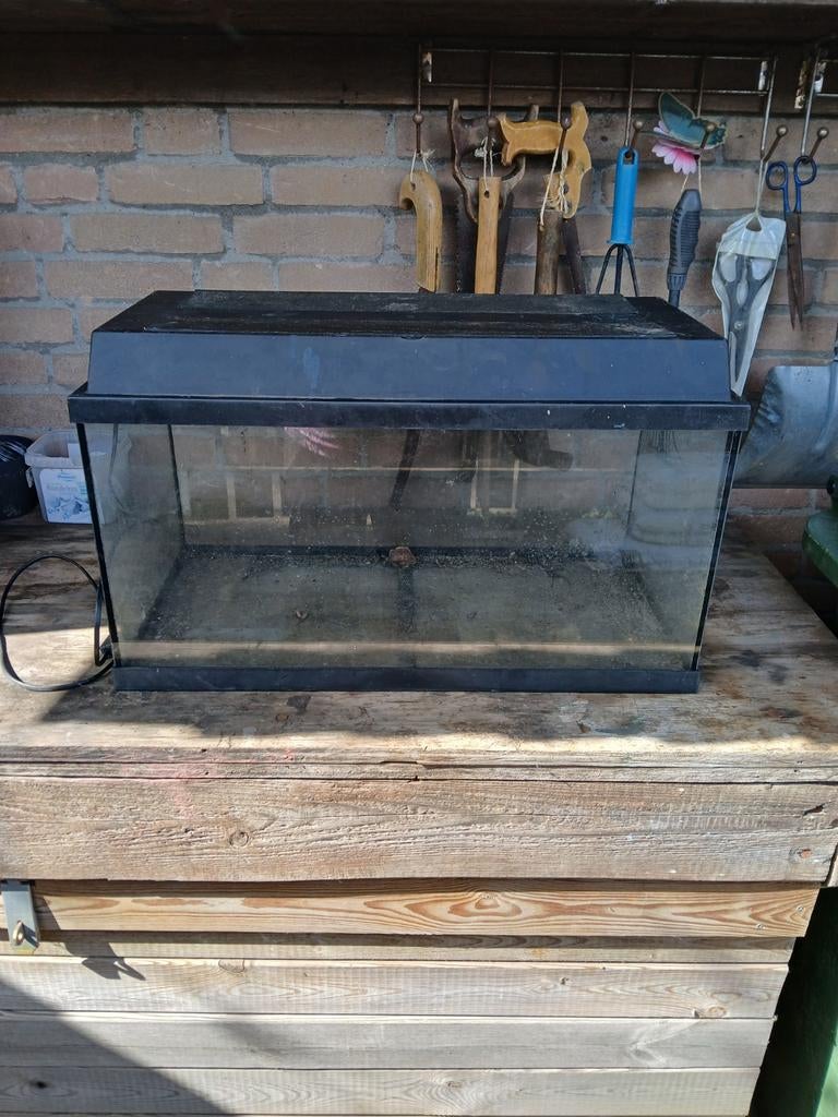 Aquarium,  Aquaria. Met kap gratis.l 60 br 30 d 30., Dieren en Toebehoren, Vissen | Aquariumvissen, Vis