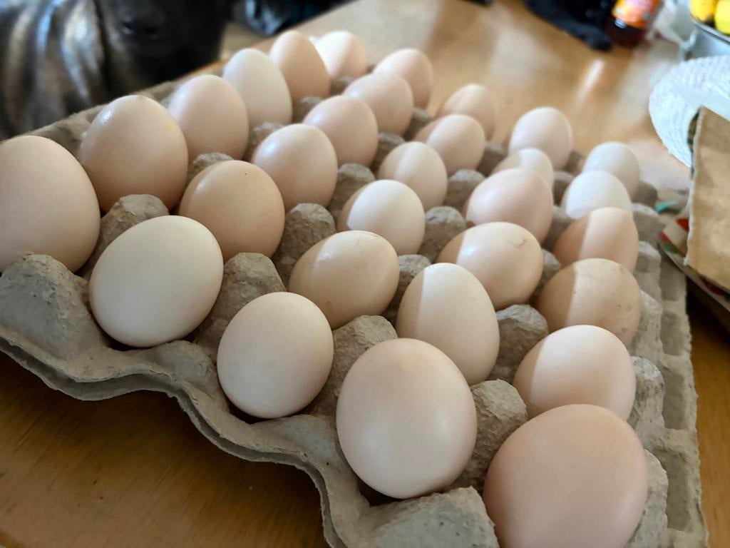 Eiren, Diversen, Levensmiddelen, Ophalen